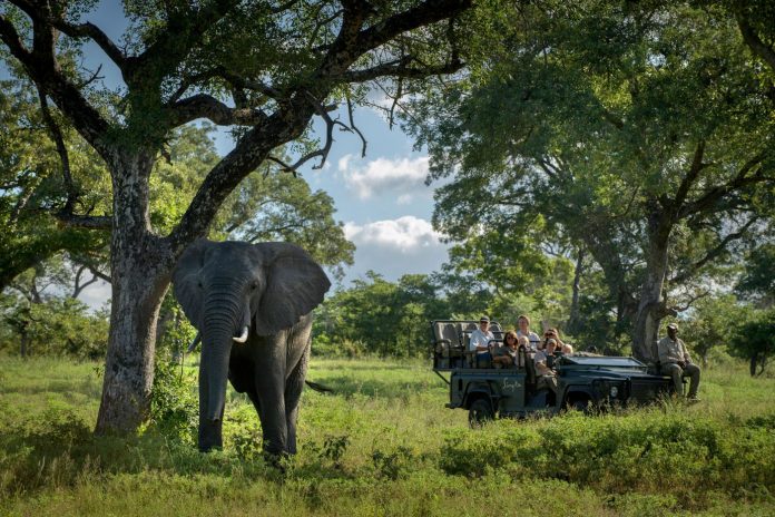 An Adventure In Botswana