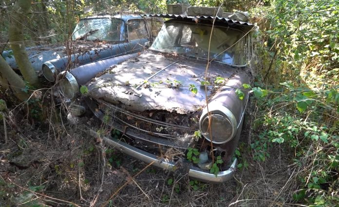 Abandoned Property Hidden in the Woods Has a Yard Full of Classic Cars