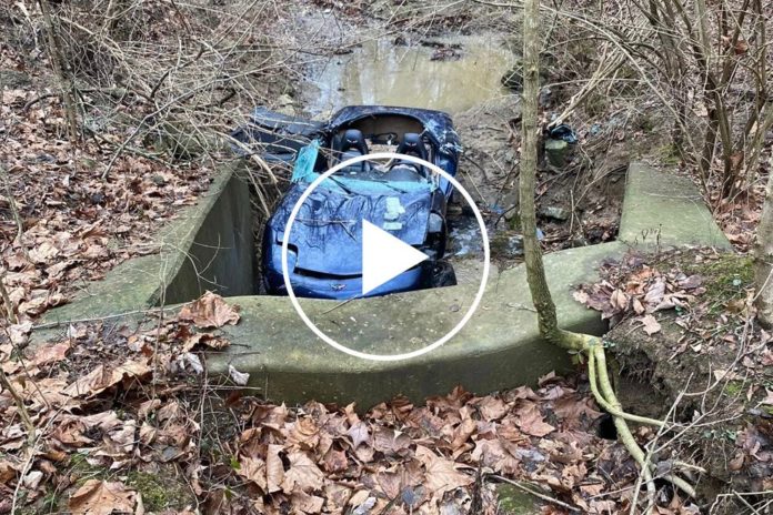 C5 Corvette Driver Lands Down A Creek Without A Paddle