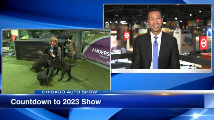 Electric vehicles, hybrid cars and puppies at the 2023 Chicago Auto Show