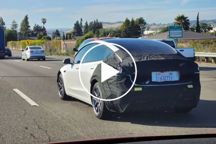 Tesla Model 3 Facelift Spied With Redesigned Taillights