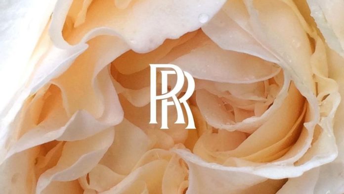 Rolls-Royce Shows Off The Exclusive, Specially-Bred Phantom Rose