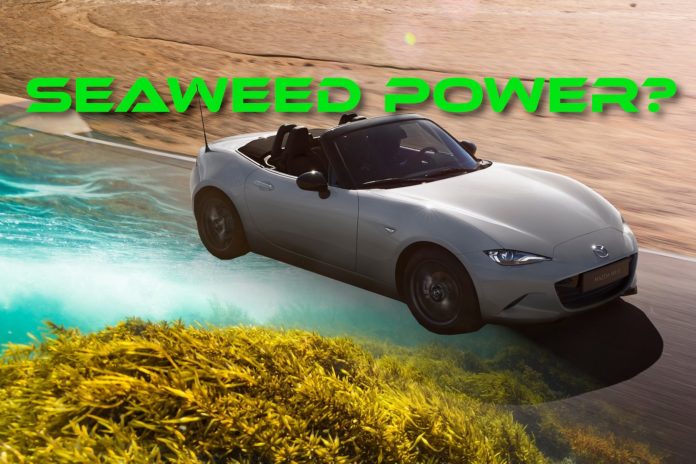 Mazda To Keep The Combustion Miata Dream Alive By Making Fuel From Seaweed