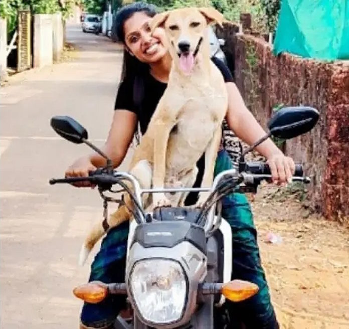 Stray dog on scooter with girl