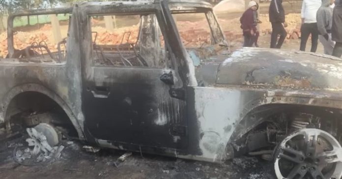 One month old Thar caught fire