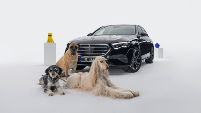 Mercedes Introduces Bark Assist Voice Command For Dogs On The Silliest Day Of The Year