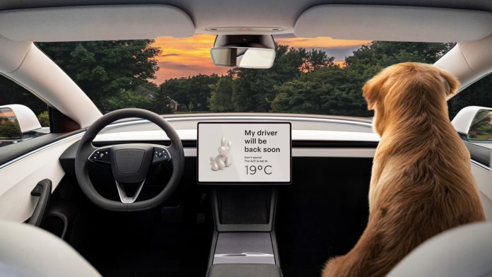 Tesla's Dog Mode Is Malfunctioning At The Worst Time Of The Year