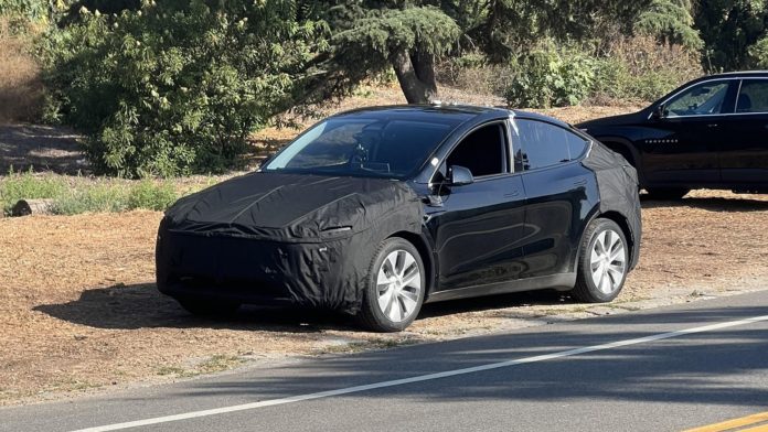 Here's Your First Look At Tesla's New Model Y